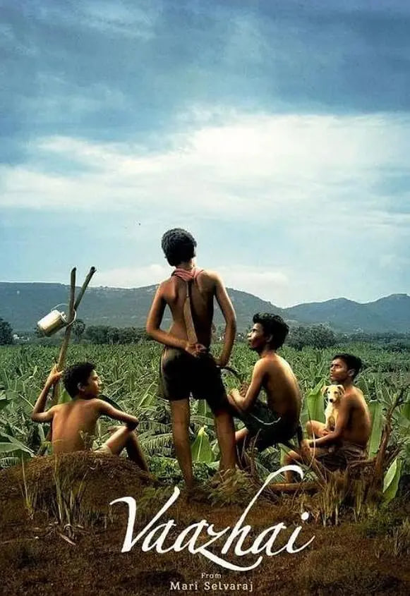 �Ͷ��Ĺ�ʵ��Ƭ