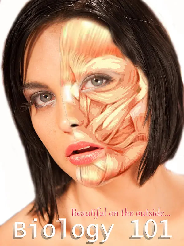 ����ס���ջ���Ƭ