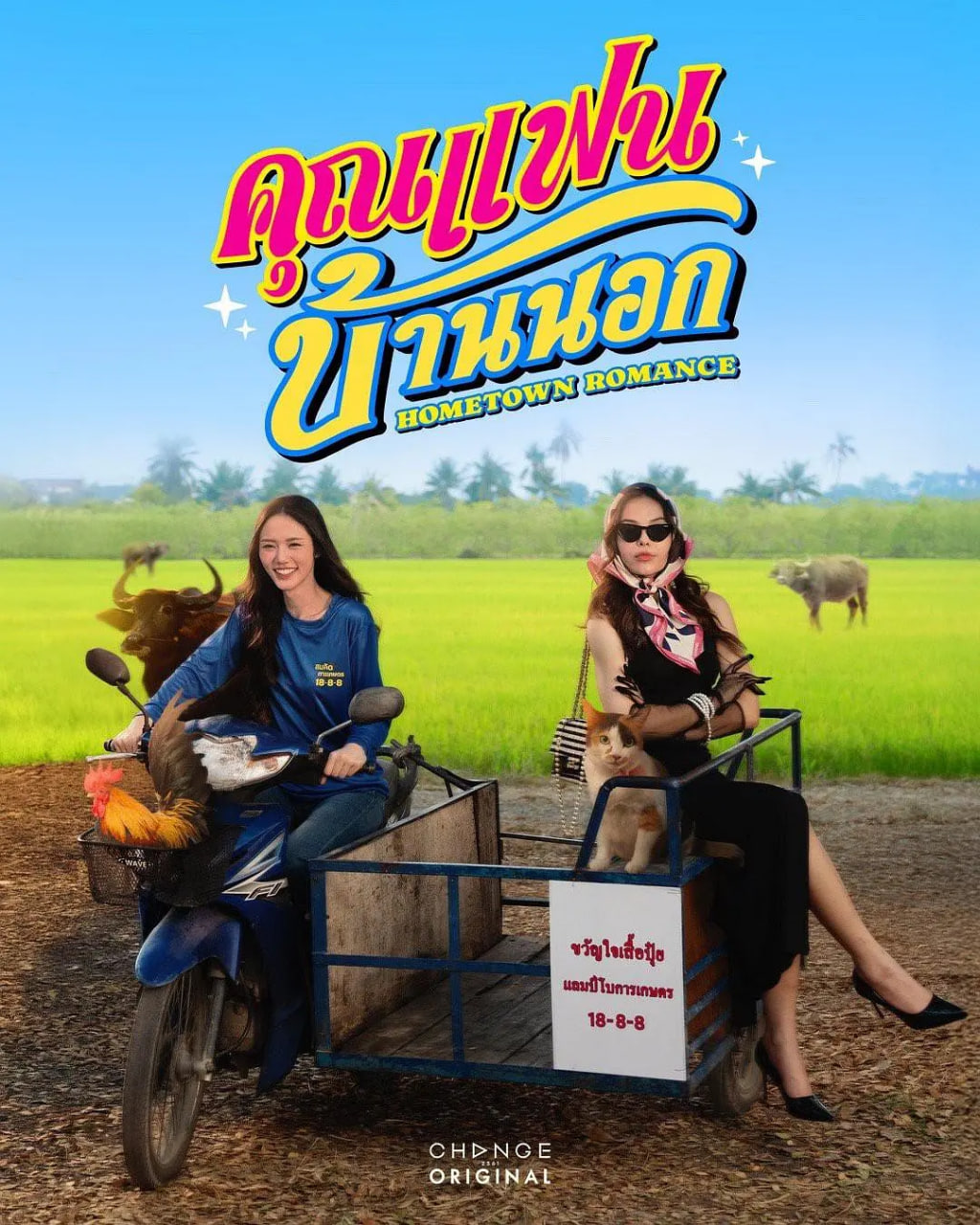 ������˸�����3��