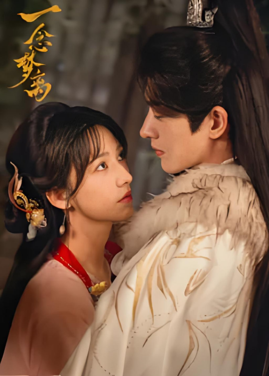 һ�����������22��