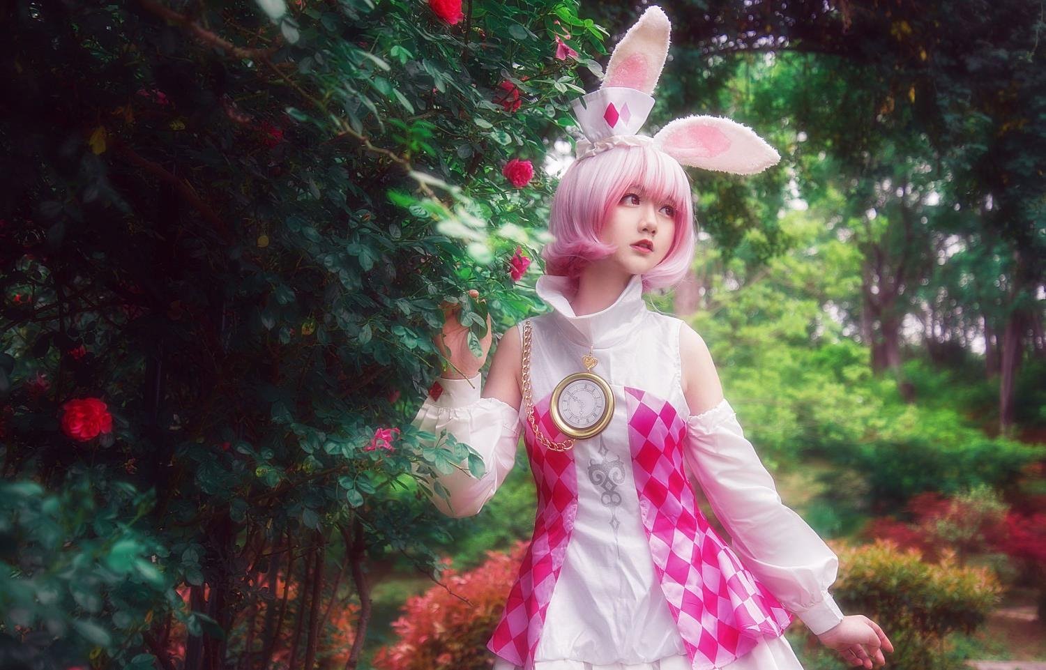 ���������ĻMV�����������