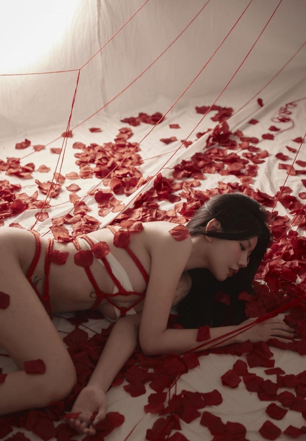 ��ʤ�������¼�BD�����