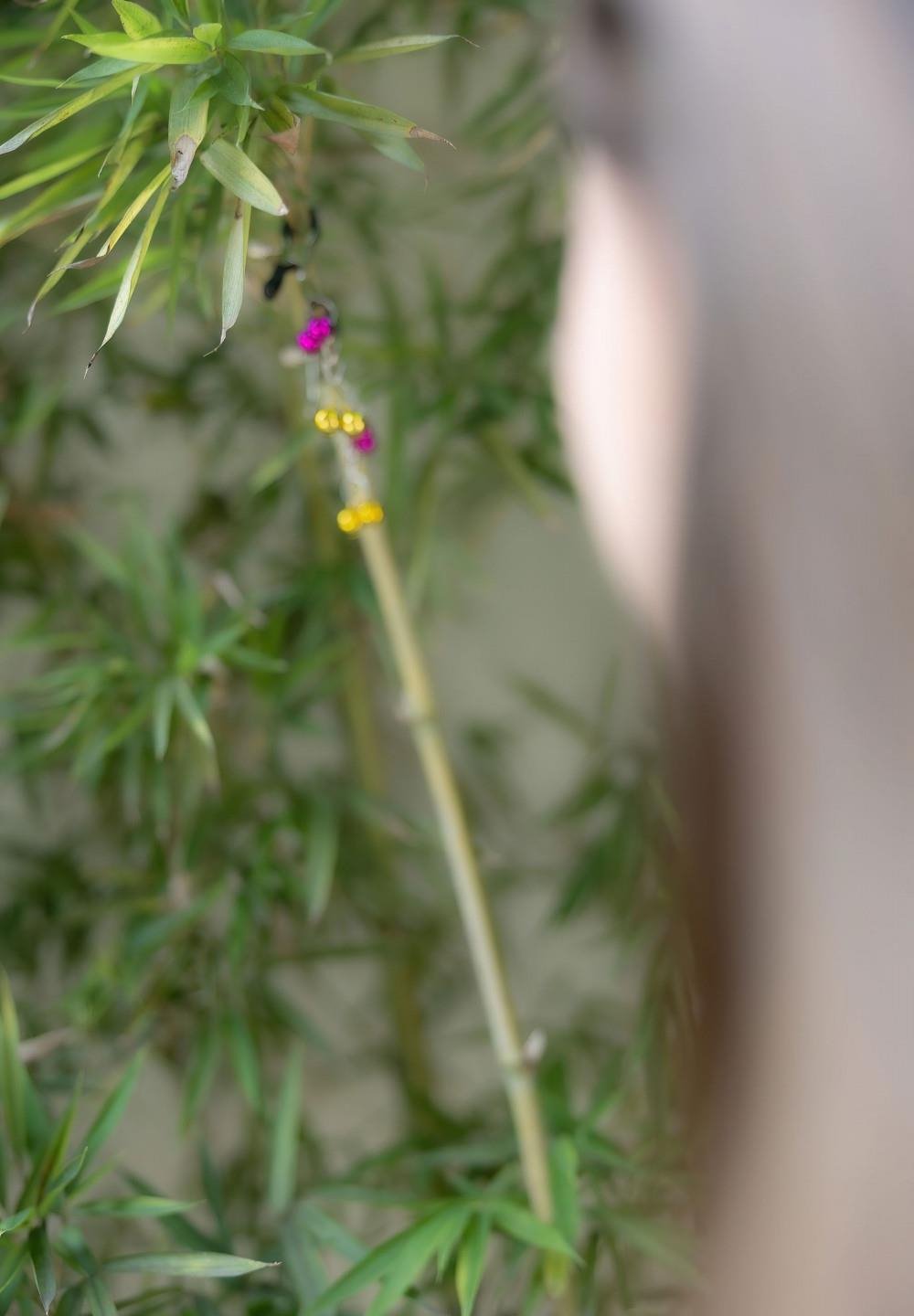 ��ʬ��̷�ֲ���Ӱ��ѹۿ������ȫ��