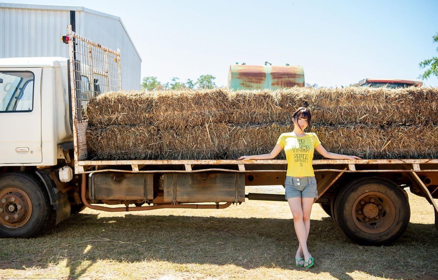 ���ֺ����˵��ر������������