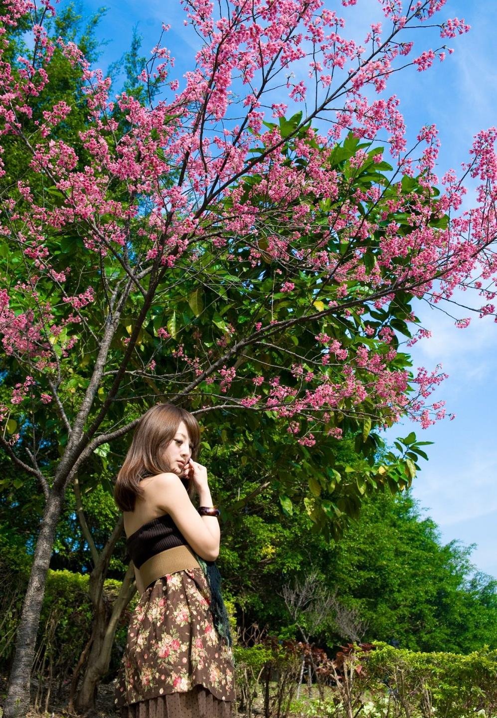 ɫ���������ۺ������BD�����