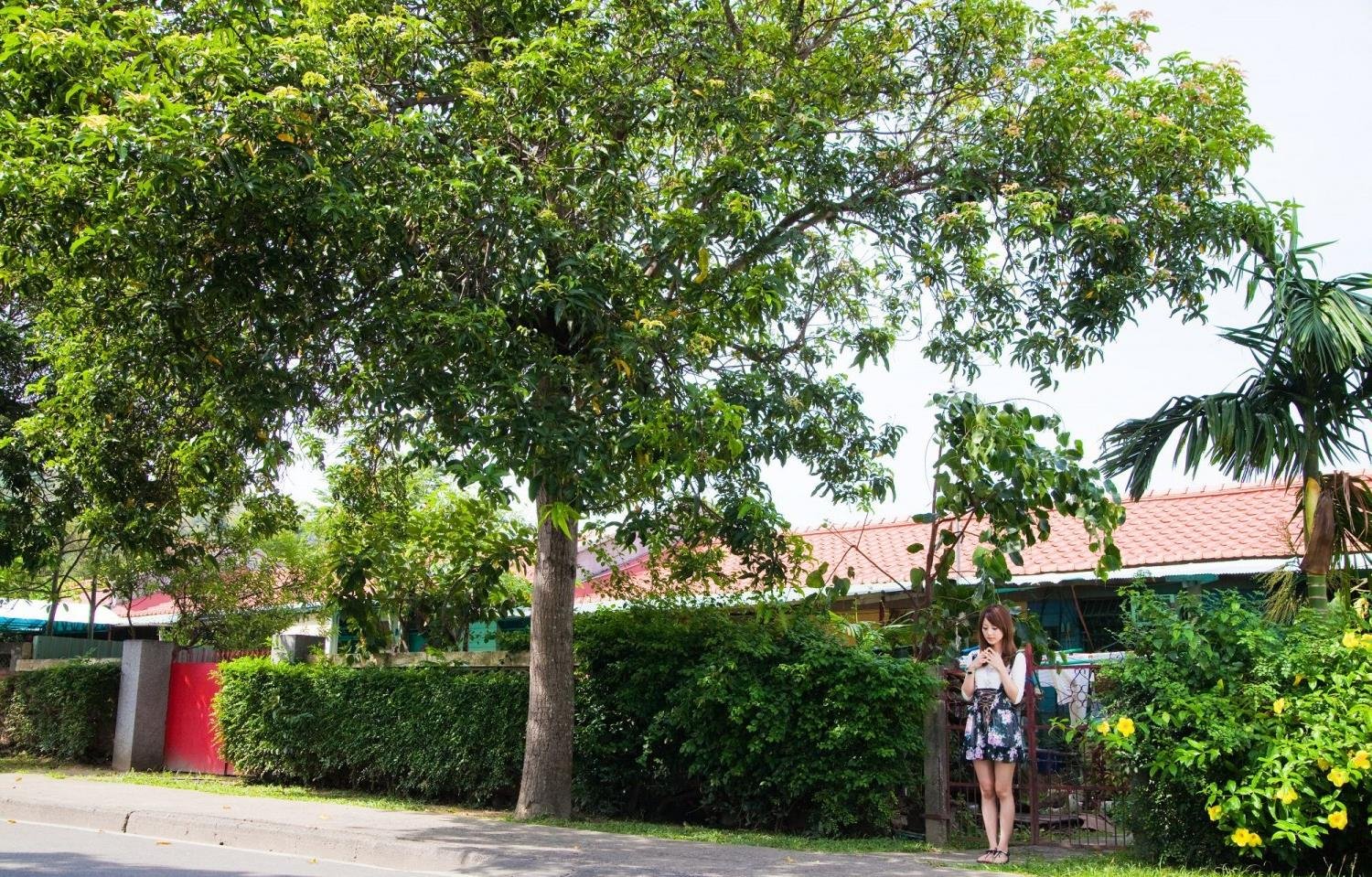 ������С��Ϸ�������