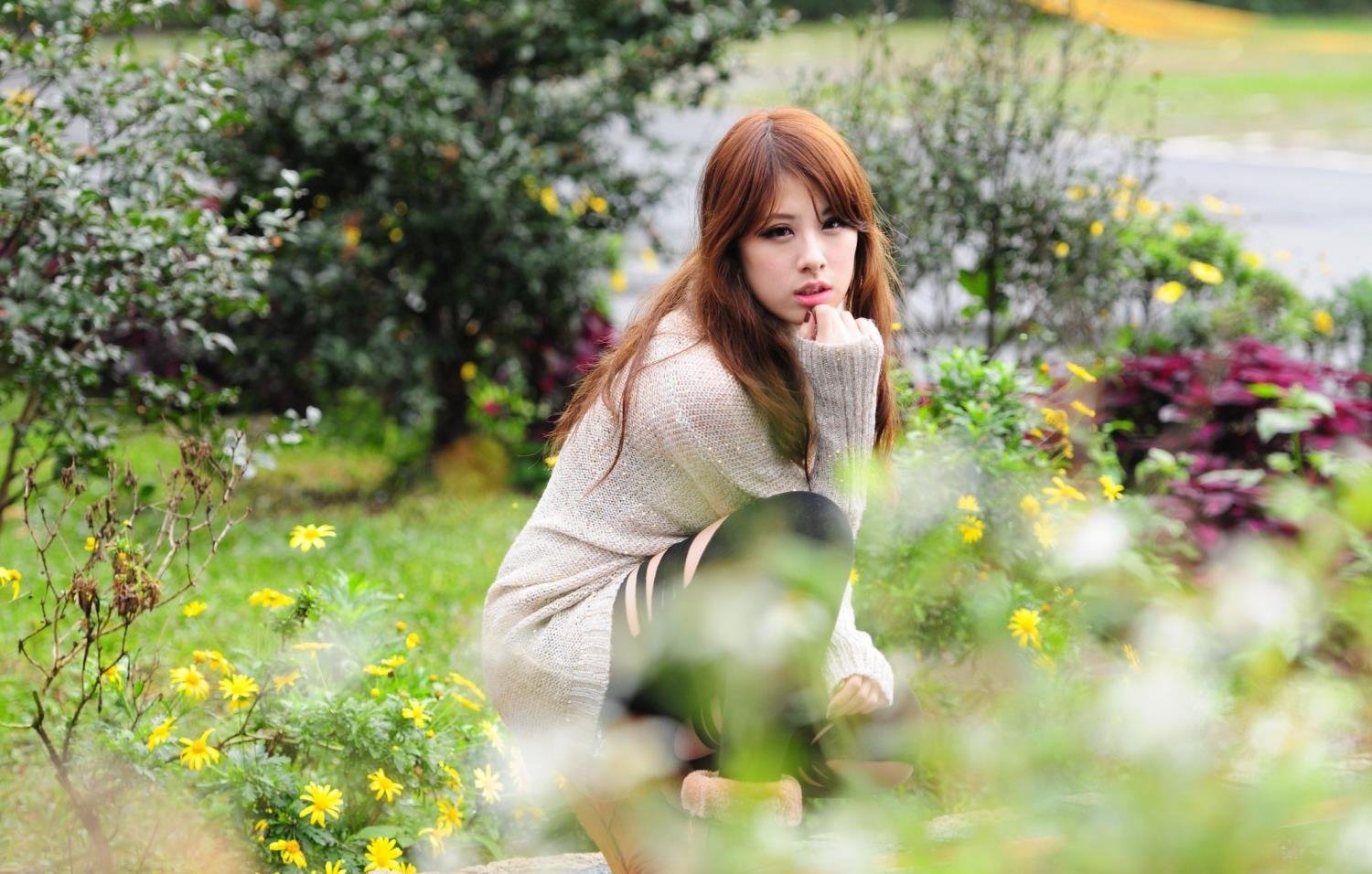 ����ʮ���ֹBD�����