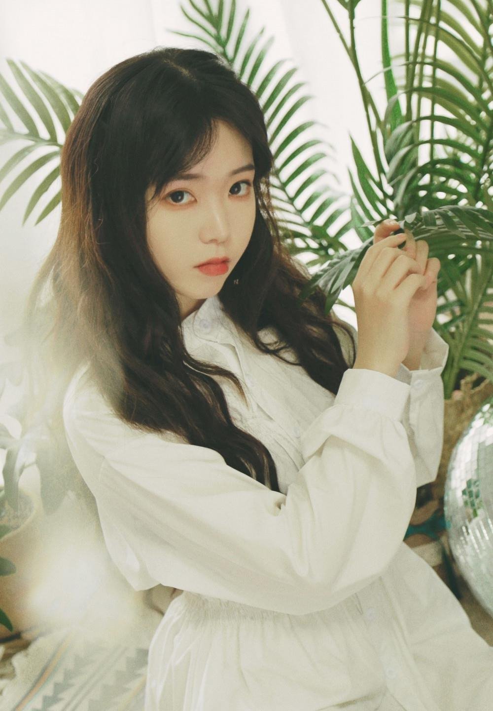 ���ŷ綯̬��ֽȫ������