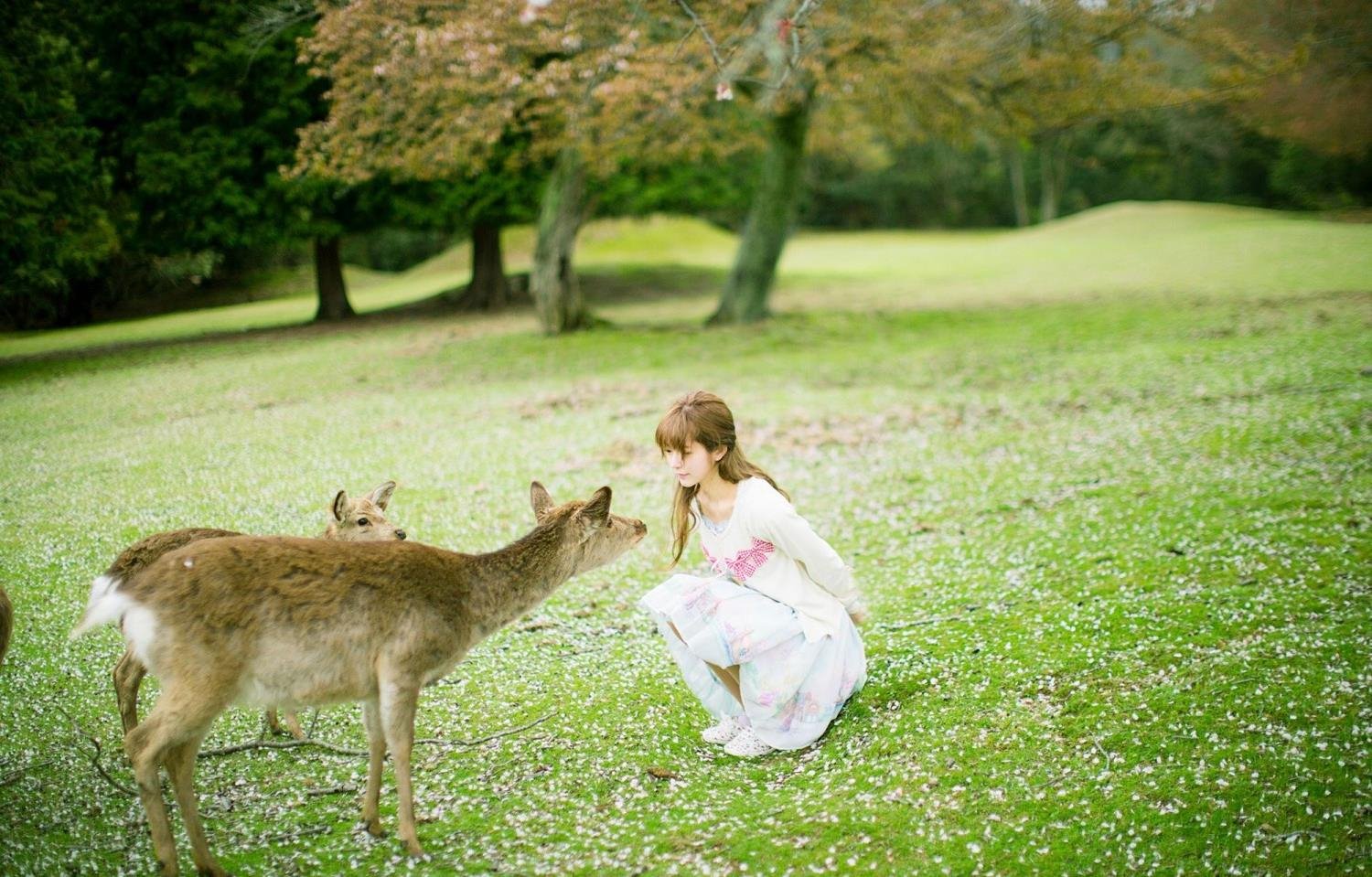 WRITE.AS ������ʦBD�����