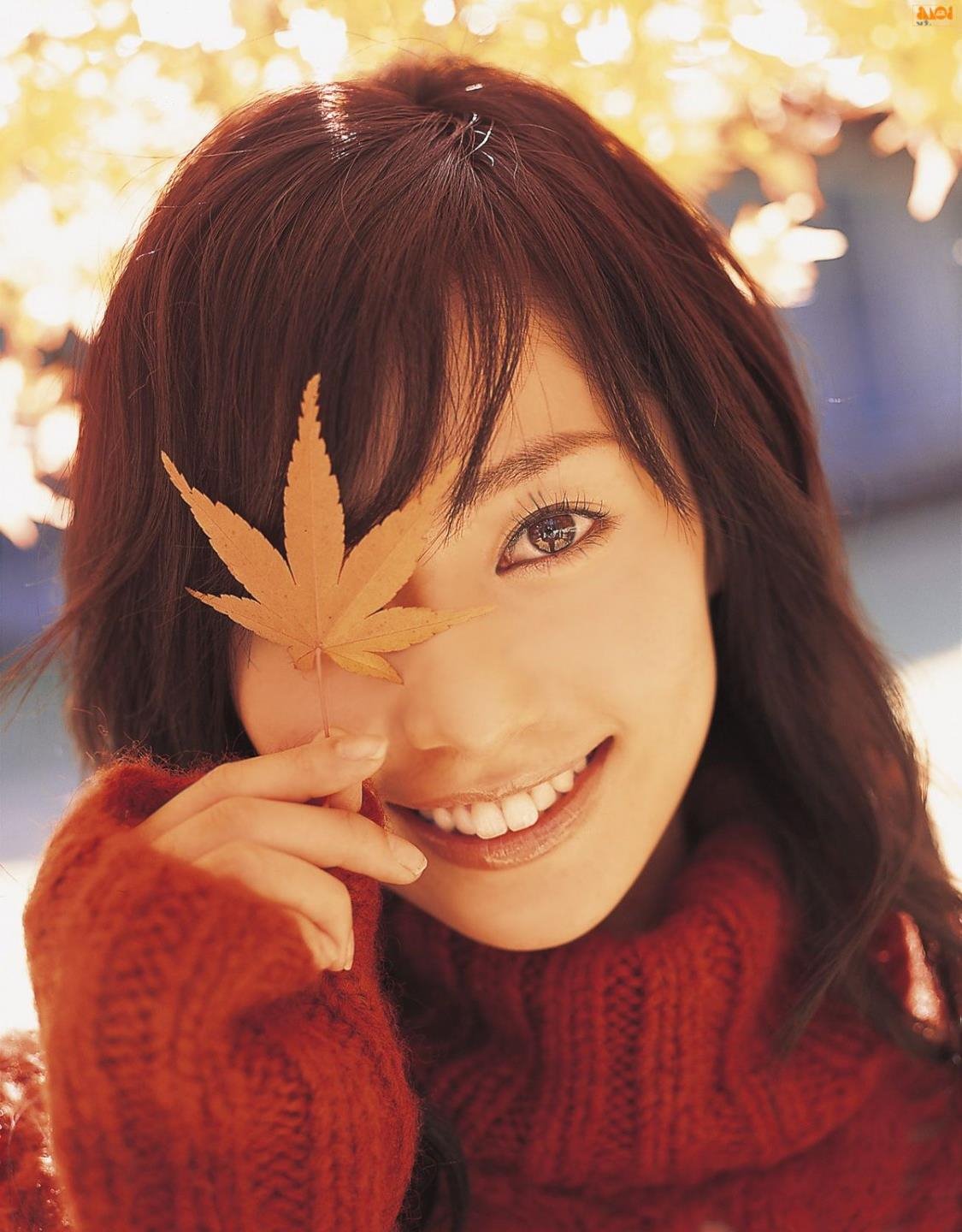 ������ʾ¼�������ȫ��