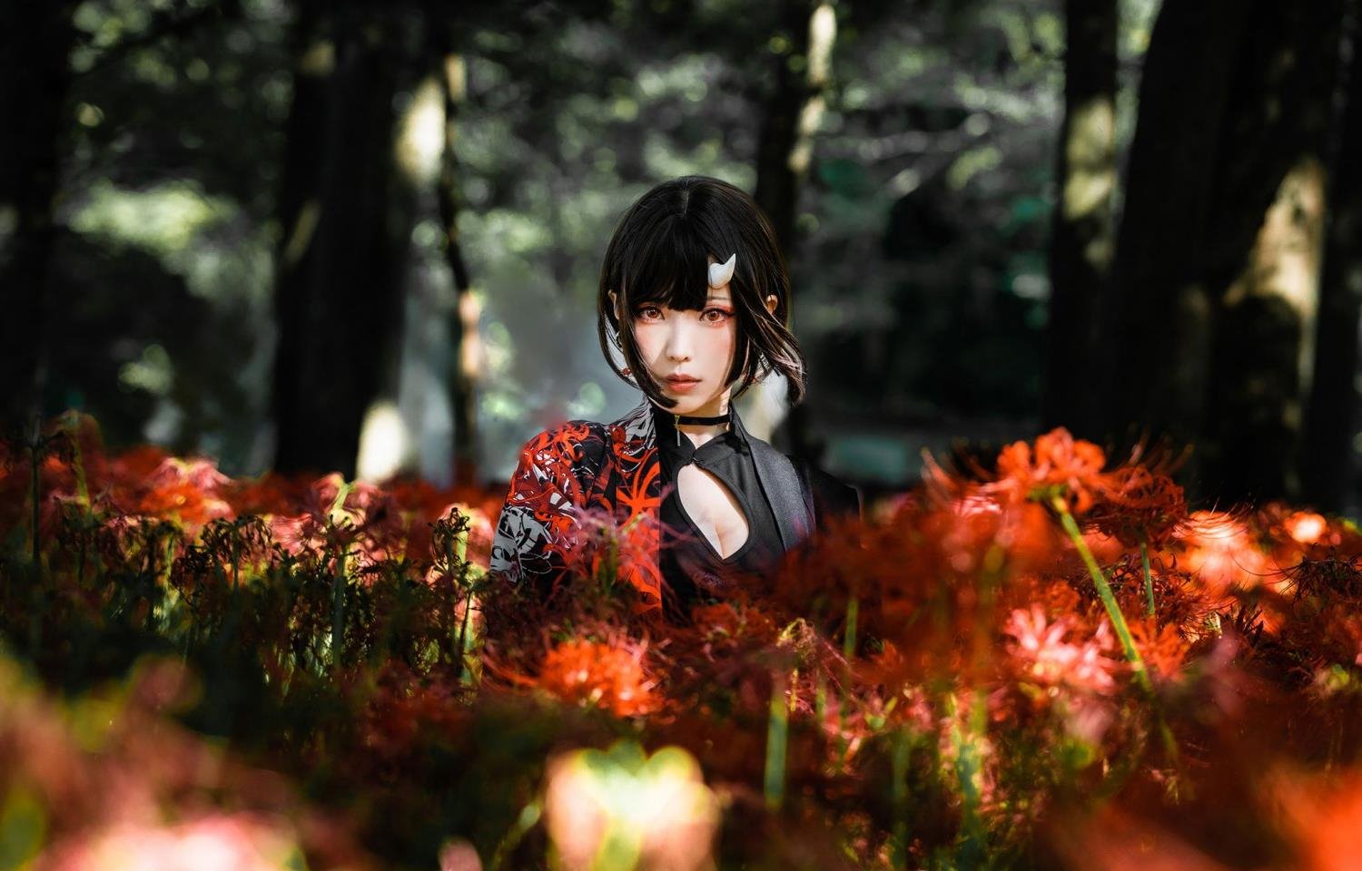 �ŵ䶯��BD�����