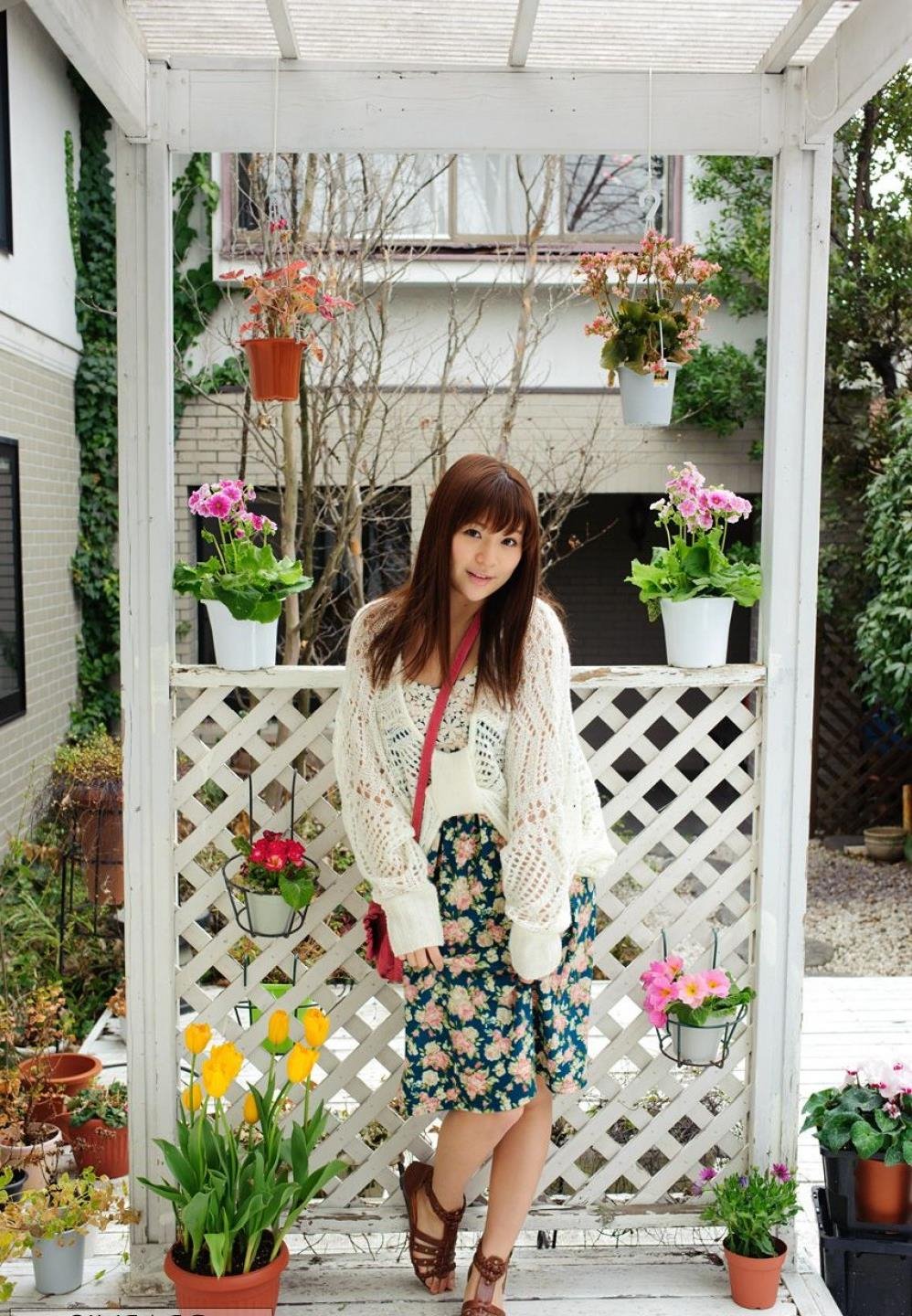 ������������������BD�����