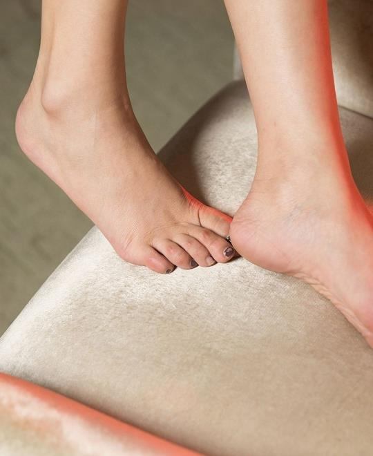 ���ɱ���ο�塷�������